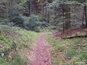 Le sentier continue à descendre...